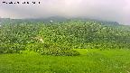 area2-20250723070032.jpg