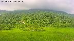 area2-20250723071033.jpg