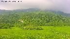 area2-20250723073032.jpg