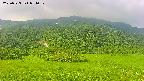 area2-20250723074033.jpg