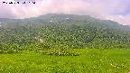 area2-20250723100039.jpg