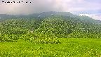 area2-20250723112040.jpg