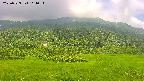 area2-20250723114035.jpg