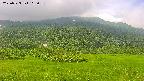 area2-20250723115036.jpg