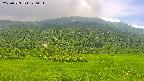 area2-20250723120035.jpg