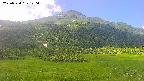 area2-20250724120039.jpg