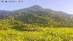 area2-20250725175037.jpg