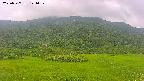 area2-20250727121034.jpg