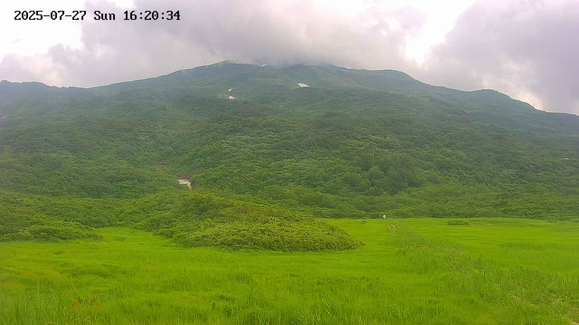 area2-20250727162035.jpg