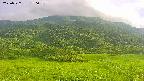 area2-20250727170035.jpg