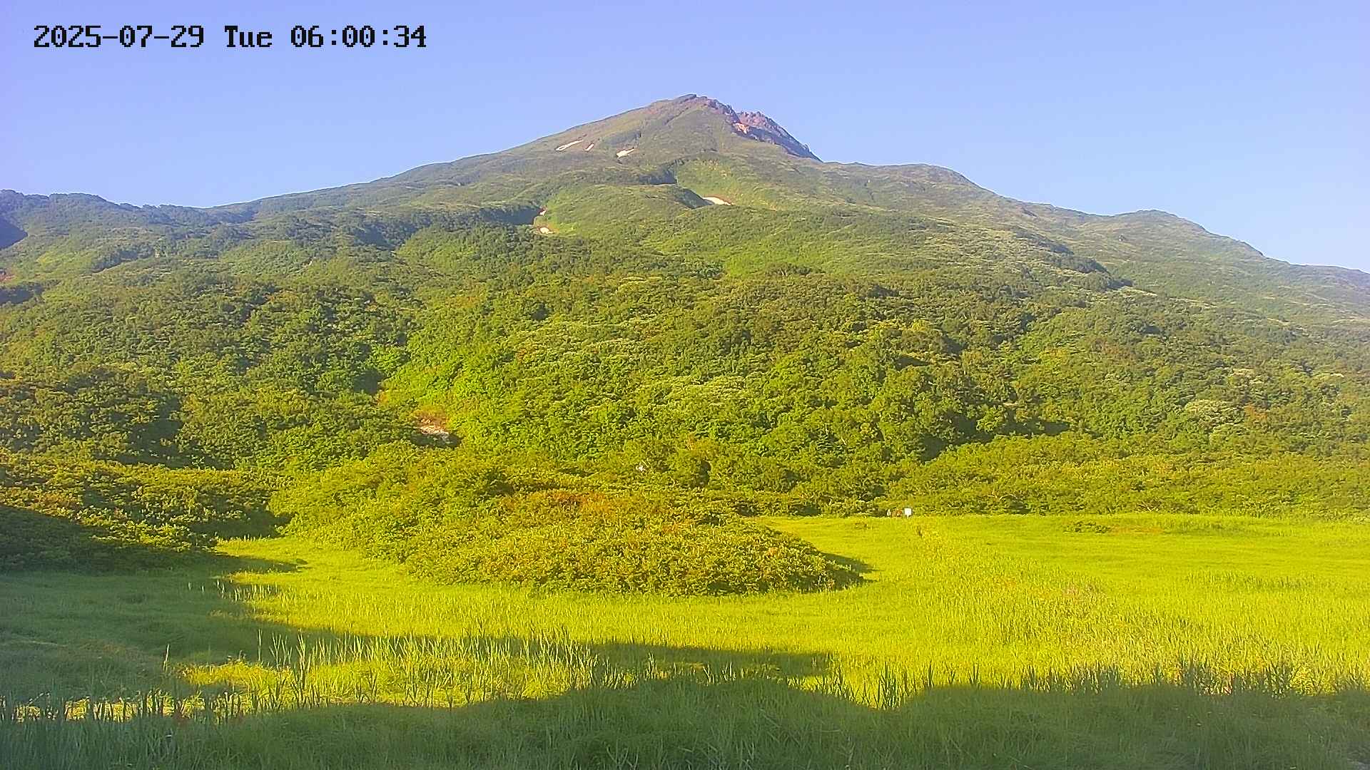 area2-20250729060037.jpg