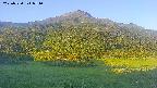 area2-20250730051035.jpg