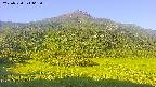 area2-20250730062040.jpg