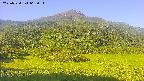 area2-20250730063038.jpg