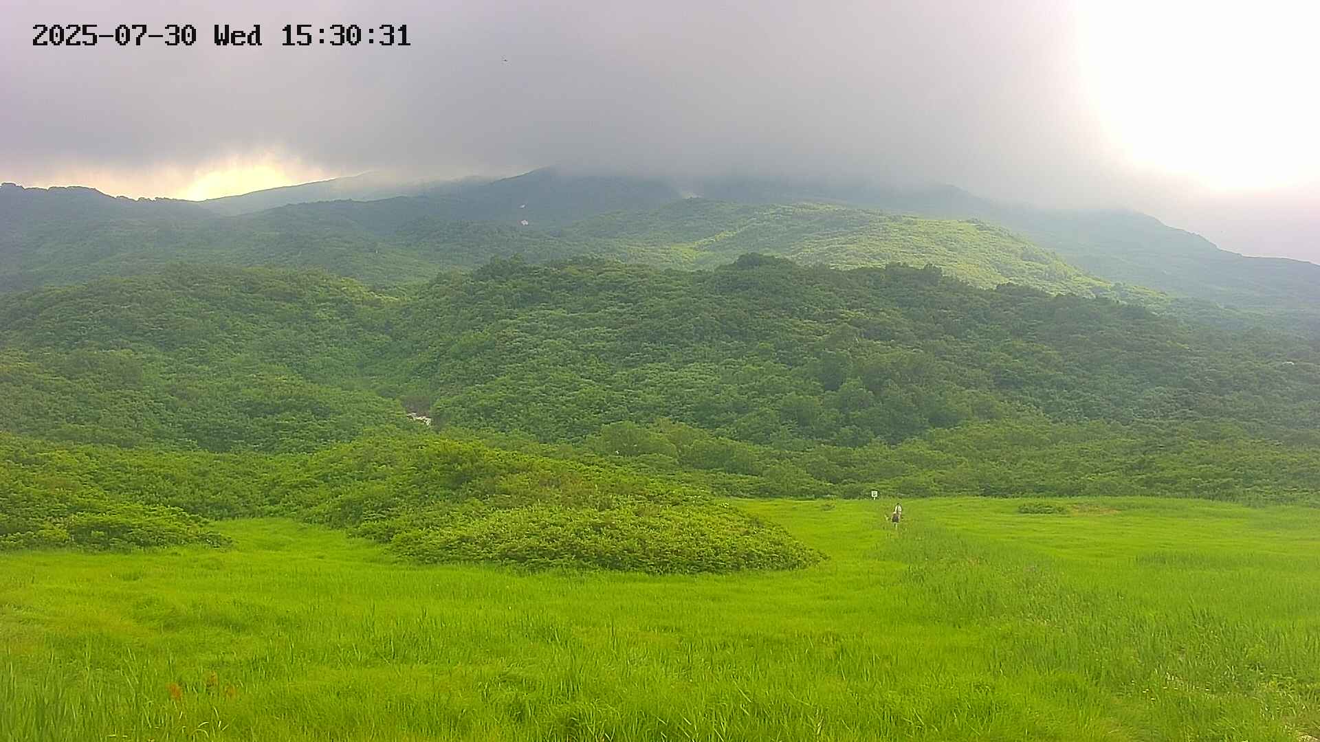 area2-20250730153033.jpg
