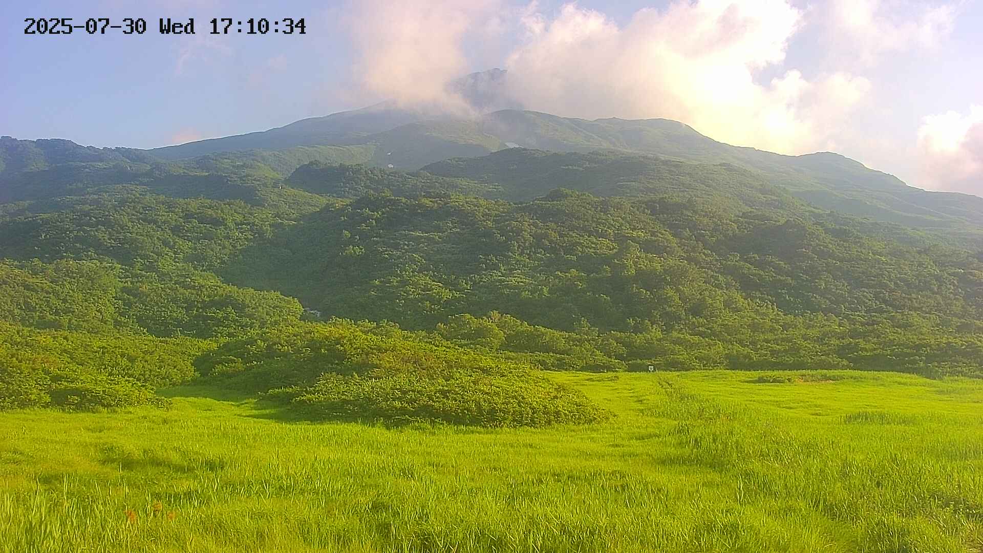 area2-20250730171035.jpg