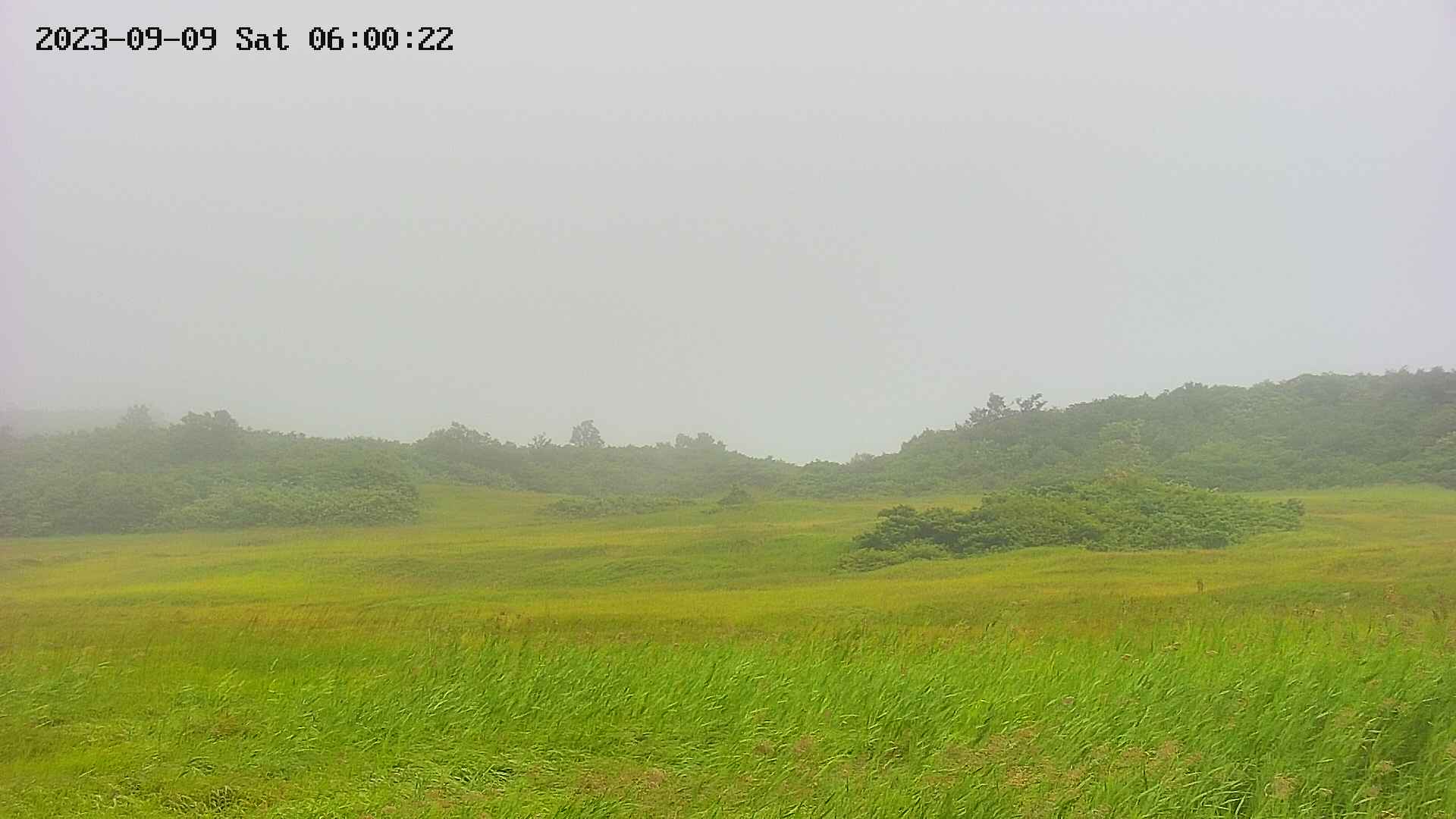 area3-20230909060023.jpg