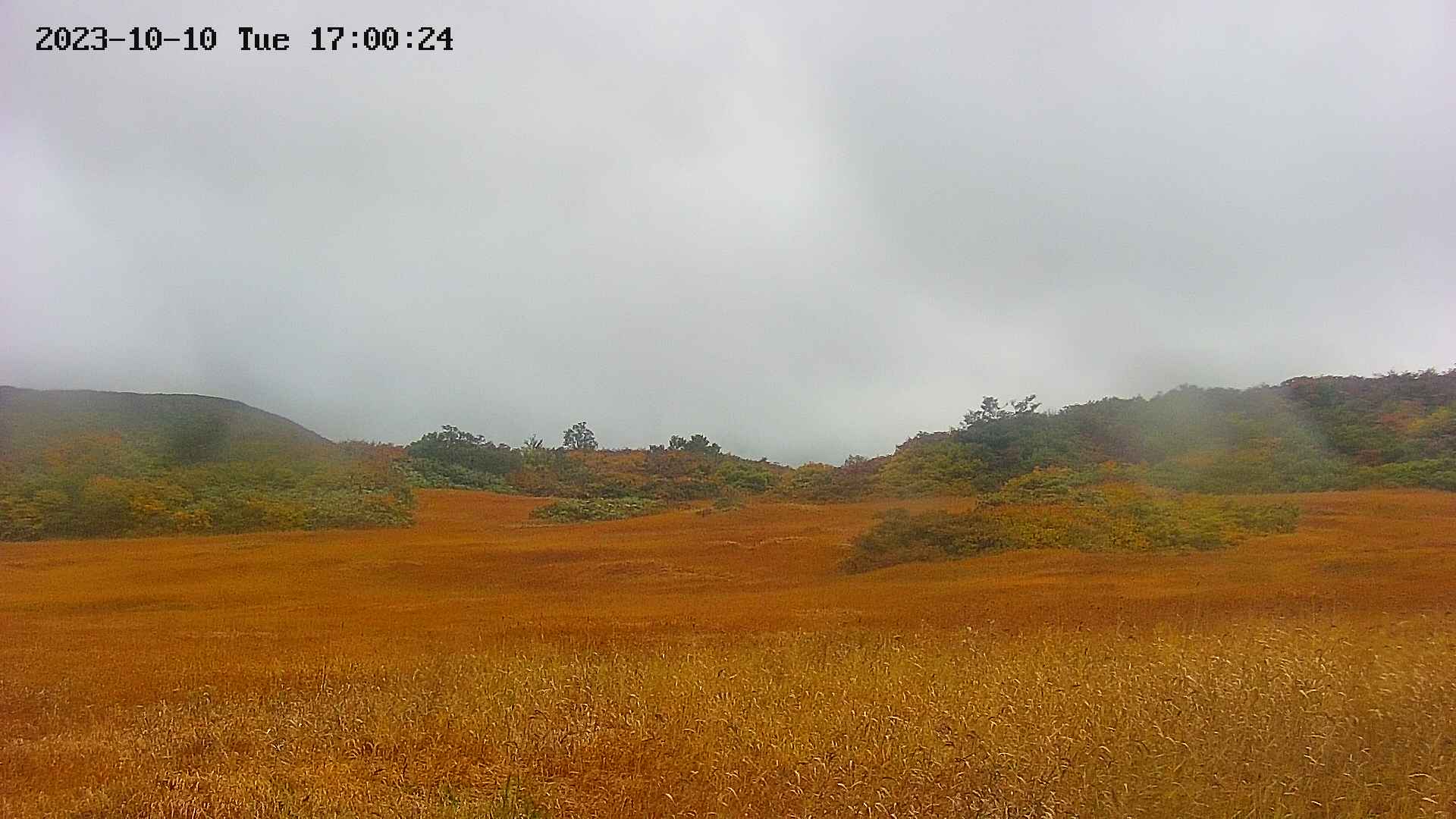 area3-20231010170024.jpg