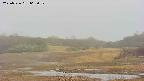 area3-20250526062050.jpg