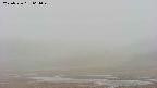 area3-20250526064050.jpg