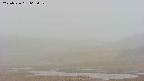 area3-20250526065050.jpg