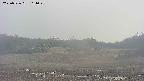 area3-20250526161049.jpg