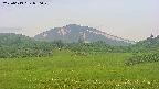 area3-20250619050049.jpg