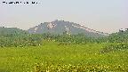 area3-20250619051048.jpg