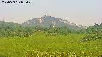 area3-20250619052050.jpg
