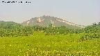 area3-20250619053048.jpg