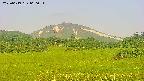 area3-20250619060052.jpg