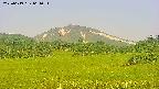 area3-20250619061052.jpg