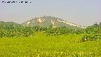 area3-20250619064053.jpg