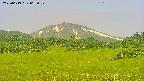 area3-20250619065051.jpg
