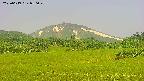 area3-20250619080050.jpg