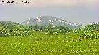 area3-20250619114049.jpg