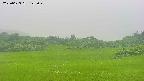 area3-20250623122050.jpg