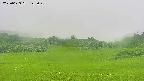 area3-20250623125050.jpg