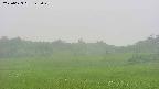 area3-20250623142050.jpg