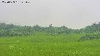 area3-20250623143050.jpg