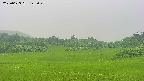 area3-20250623145050.jpg