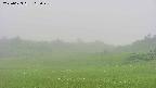 area3-20250623165047.jpg