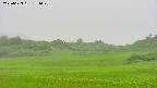 area3-20250623171049.jpg