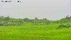 area3-20250623174050.jpg