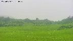 area3-20250623181048.jpg