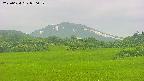 area3-20250624050054.jpg