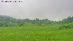 area3-20250624075047.jpg