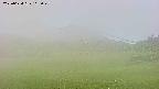 area3-20250624115050.jpg