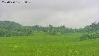 area3-20250624150051.jpg