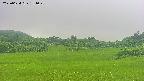 area3-20250624151049.jpg
